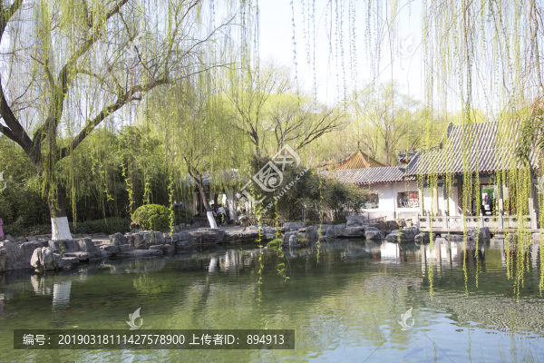 趵突泉公園