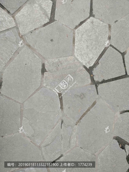 地板