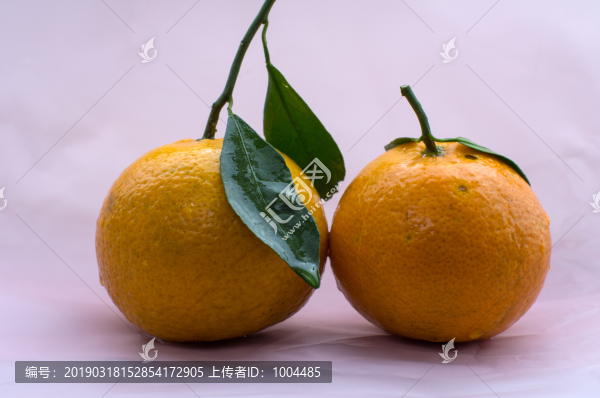 黃帝柑