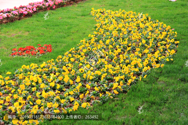 花臺鮮花拼圖