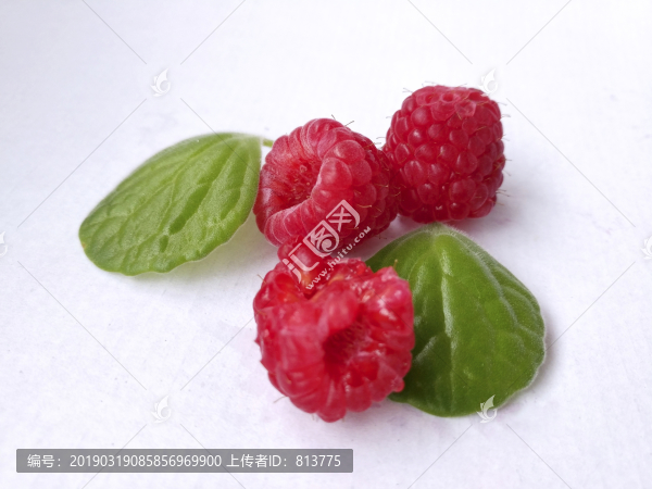 鮮果樹莓