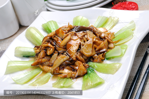 菜膽雜菌