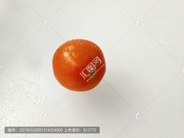 小小番茄