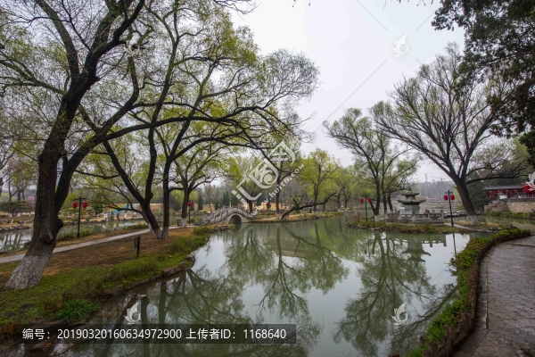 青州范公亭公園鮮花爭艷