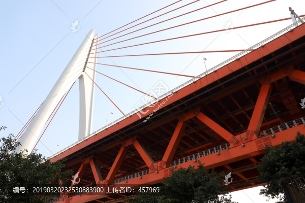 橋