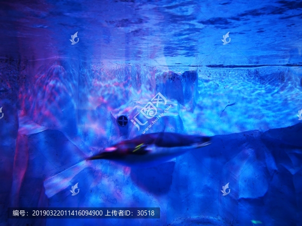 蕪湖大白鯨海洋館