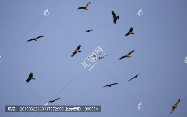 三甲水庫