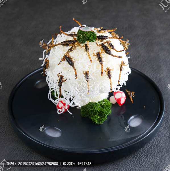 香酥全蟲