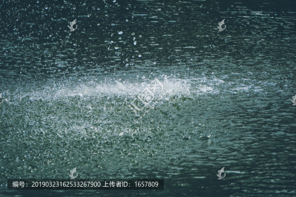 雨中水面