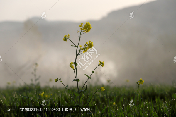 裝飾畫