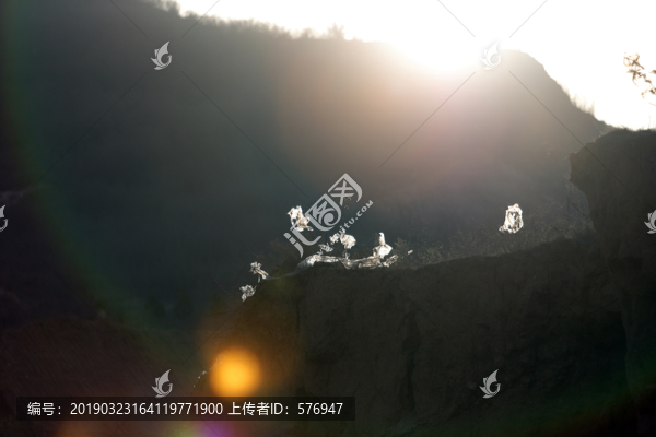 白色污染