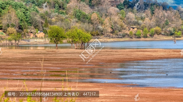 會澤大橋黑頸鶴保護(hù)區(qū)