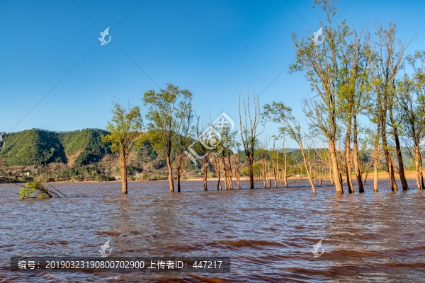 會澤大橋黑頸鶴保護區(qū)