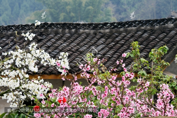 農(nóng)家的春天