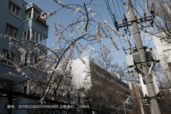 伊犁民居