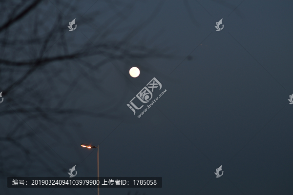 樹枝月影