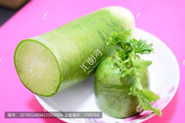 沙窩蘿卜