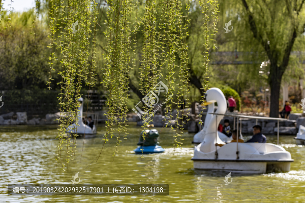 公園游船垂柳