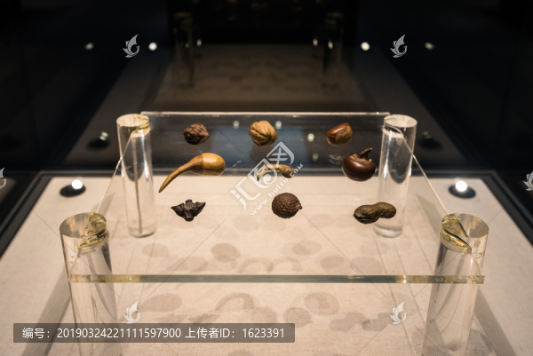 汕頭博物館八果一蟲