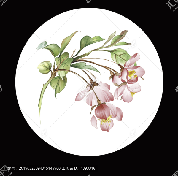 海棠花