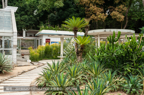 觀賞植物園
