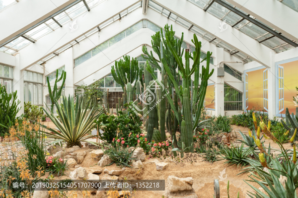 觀賞植物園