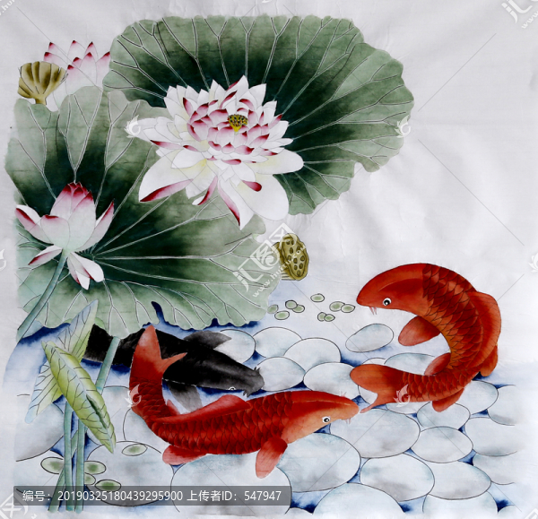 荷花金魚