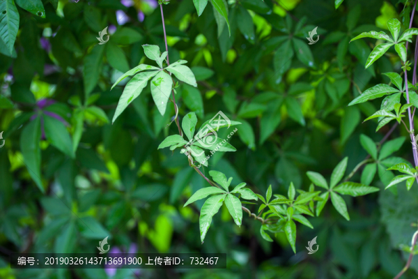 牽?；ㄈ~子特寫