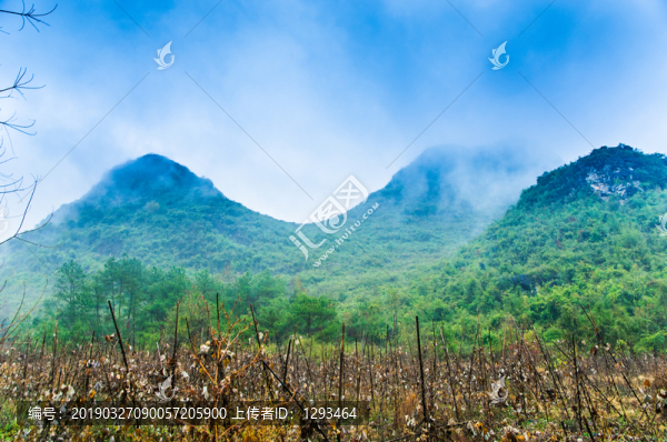 霧色山嶺風(fēng)光