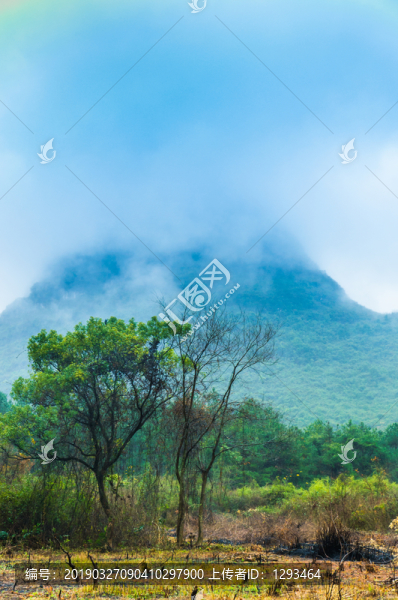 霧色山景