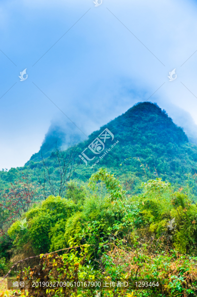 霧色山景