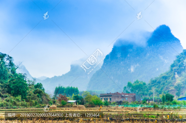 霧色山景