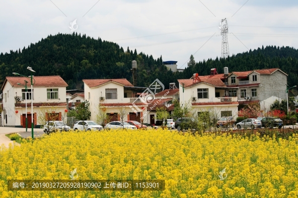 新農(nóng)家