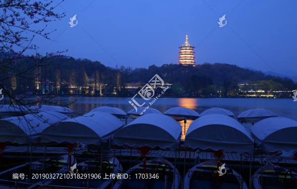 夜色雷峰塔