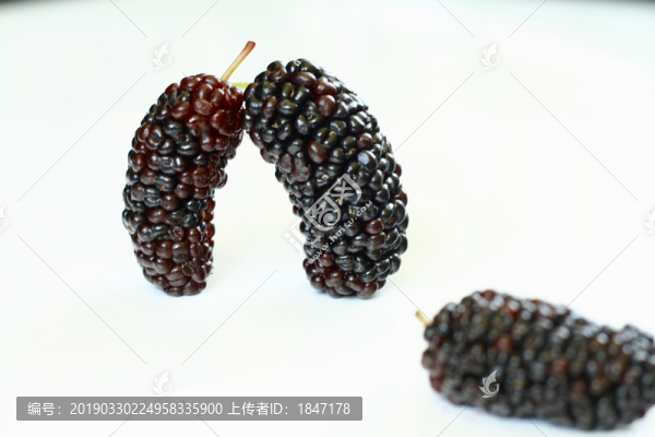 桑葚