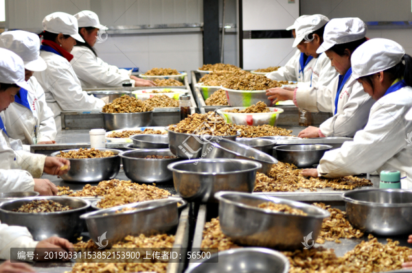 核桃加工廠