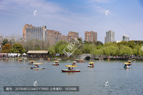 大寧公園春天