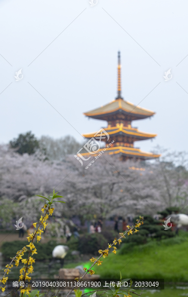東湖櫻園