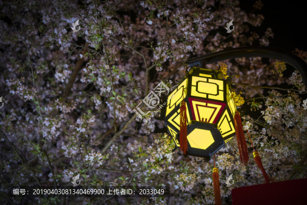 櫻花
