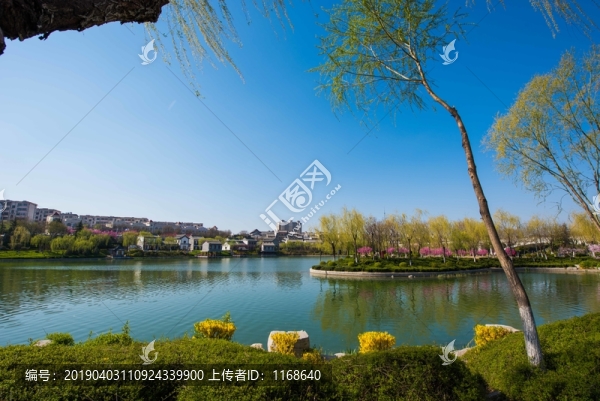 春日南陽河美景如畫