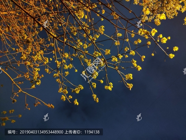 夜空背景