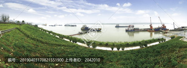 岸線復(fù)綠