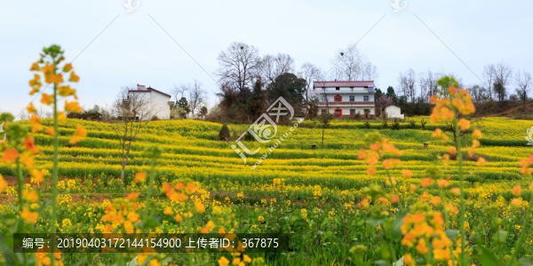 鄉(xiāng)村的春天