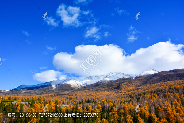 藍(lán)天下的金秋雪山