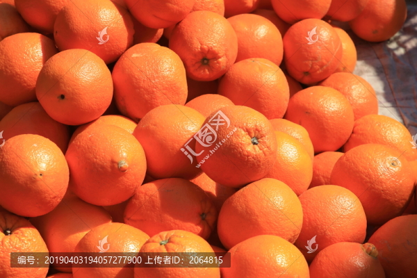 新鮮臍橙特寫