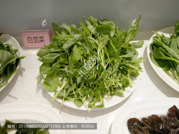 蔬菜
