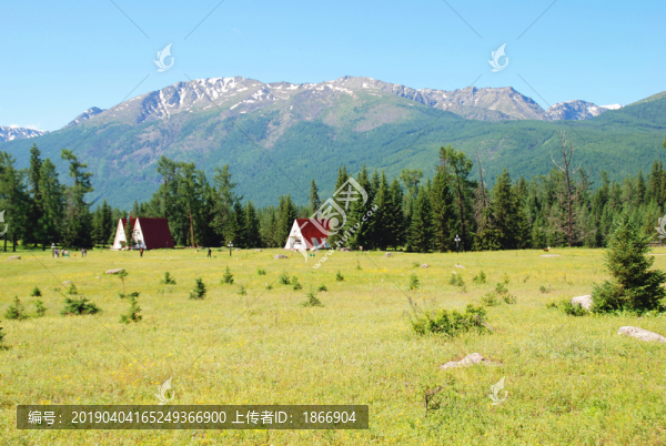 阿爾泰山的夏牧場