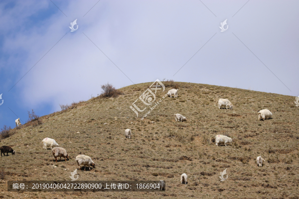 天山牧歌