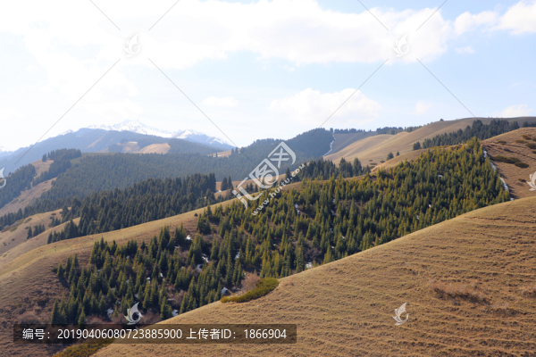 新疆天山景色