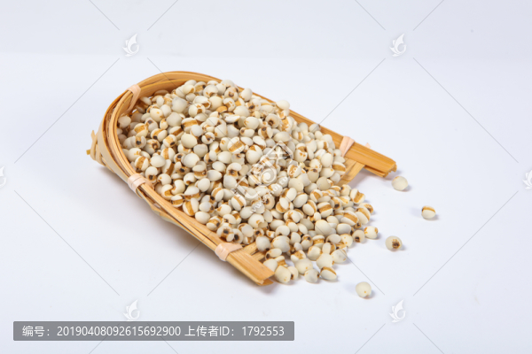 薏米